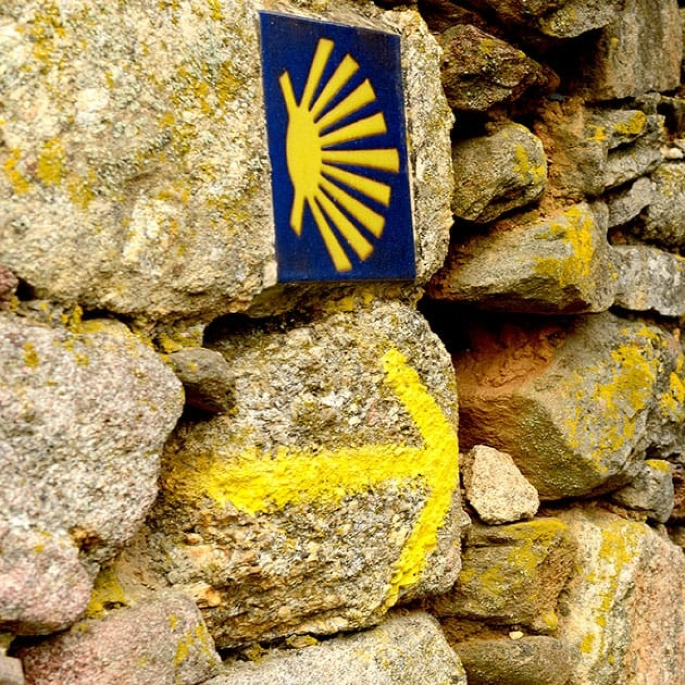Entrevista Fran González Camino de Santiago episode artwork