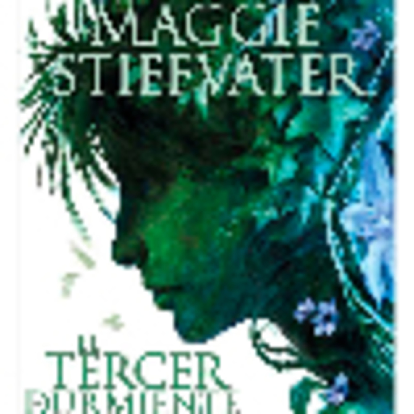 Maggie Stiefvater - The raven boys El tercer durmi