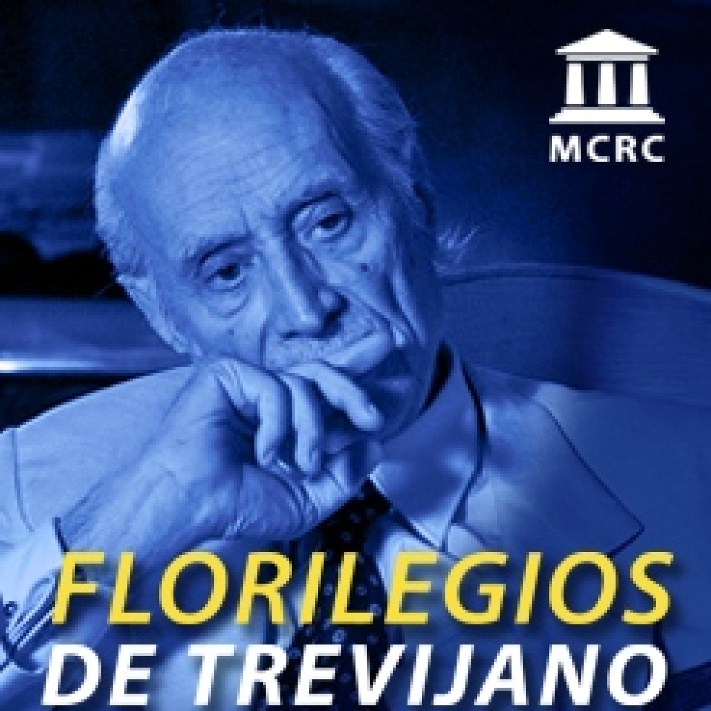 Radio Libertad Constituyente