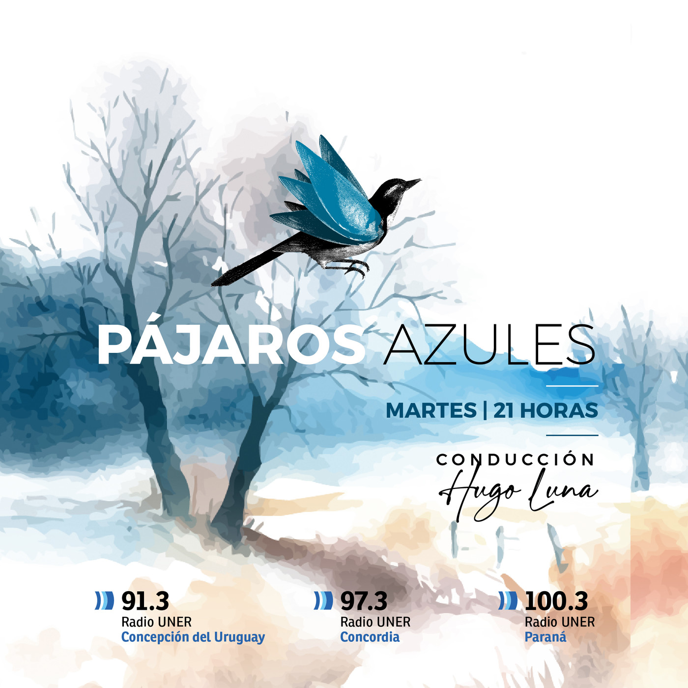 Pájaros Azules