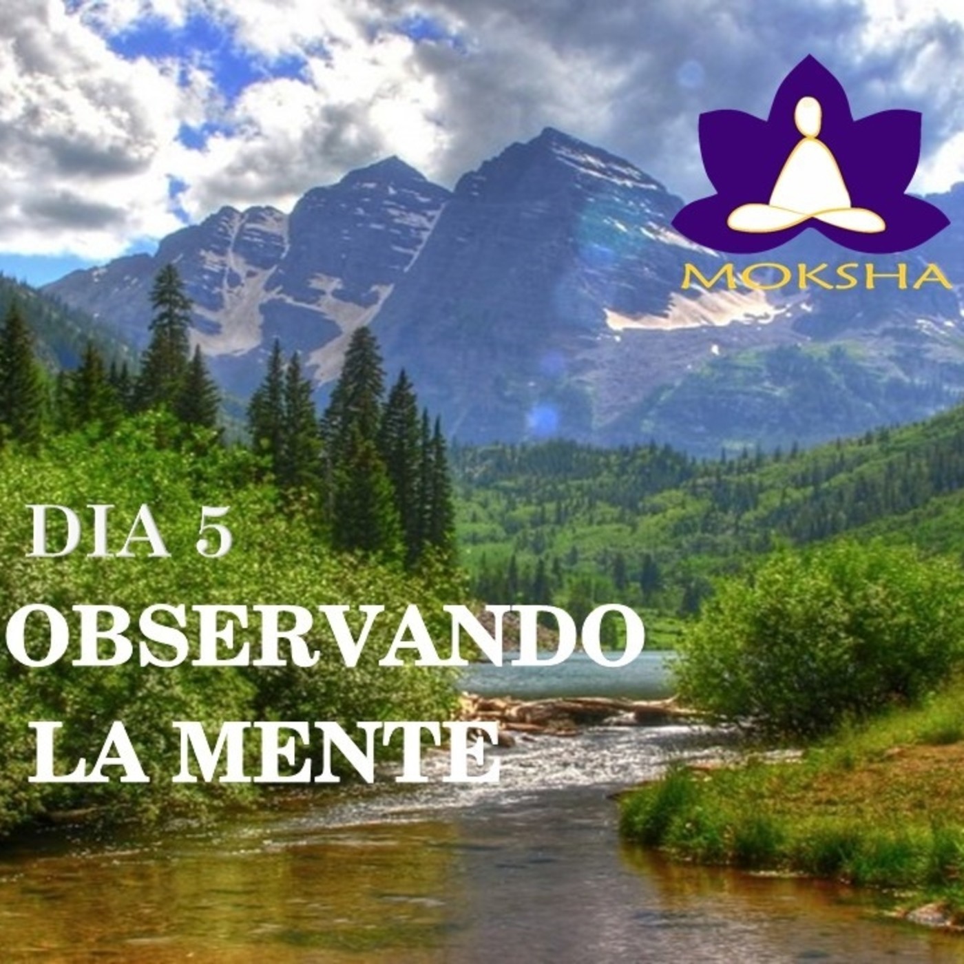 Aprende Meditación en 10 Días