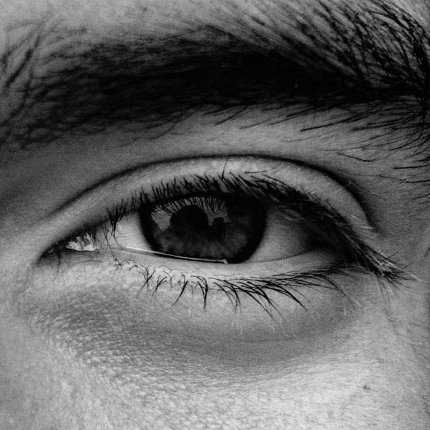 Es parte de Crecer Timmy.