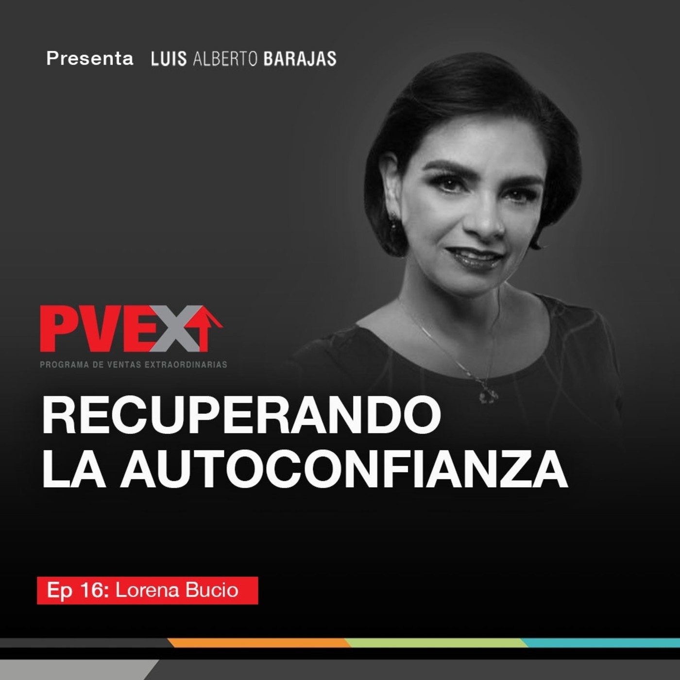 Programa de Ventas Extraordinarias (PVEX)