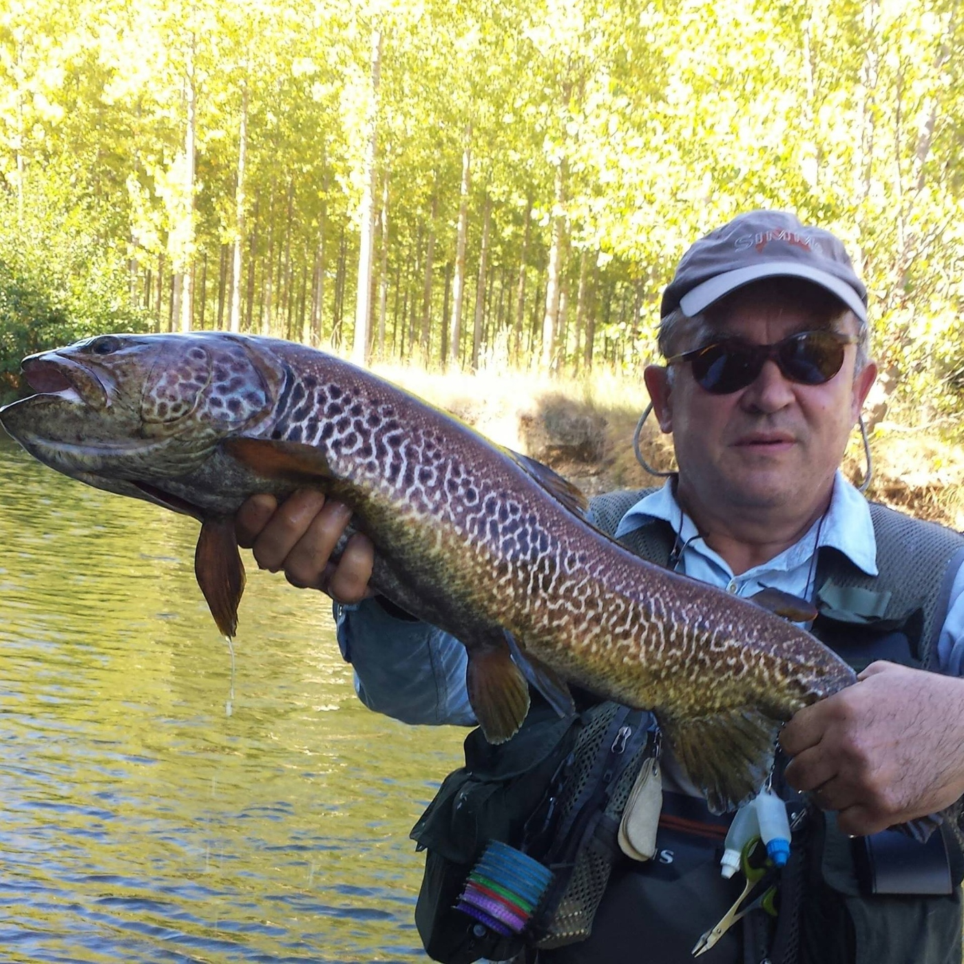 Rio de la Vida pesca
