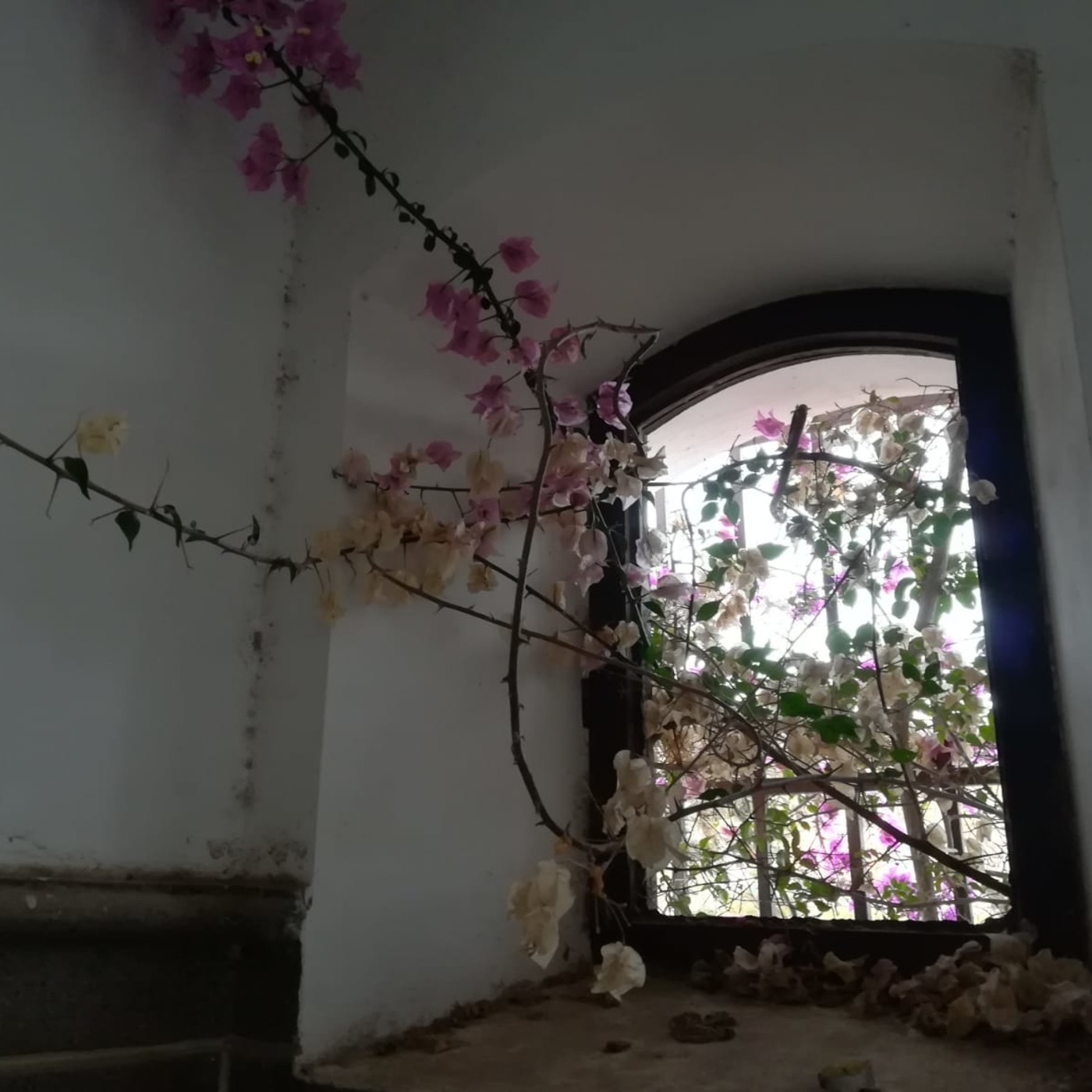 Gran Canaria Paranormal