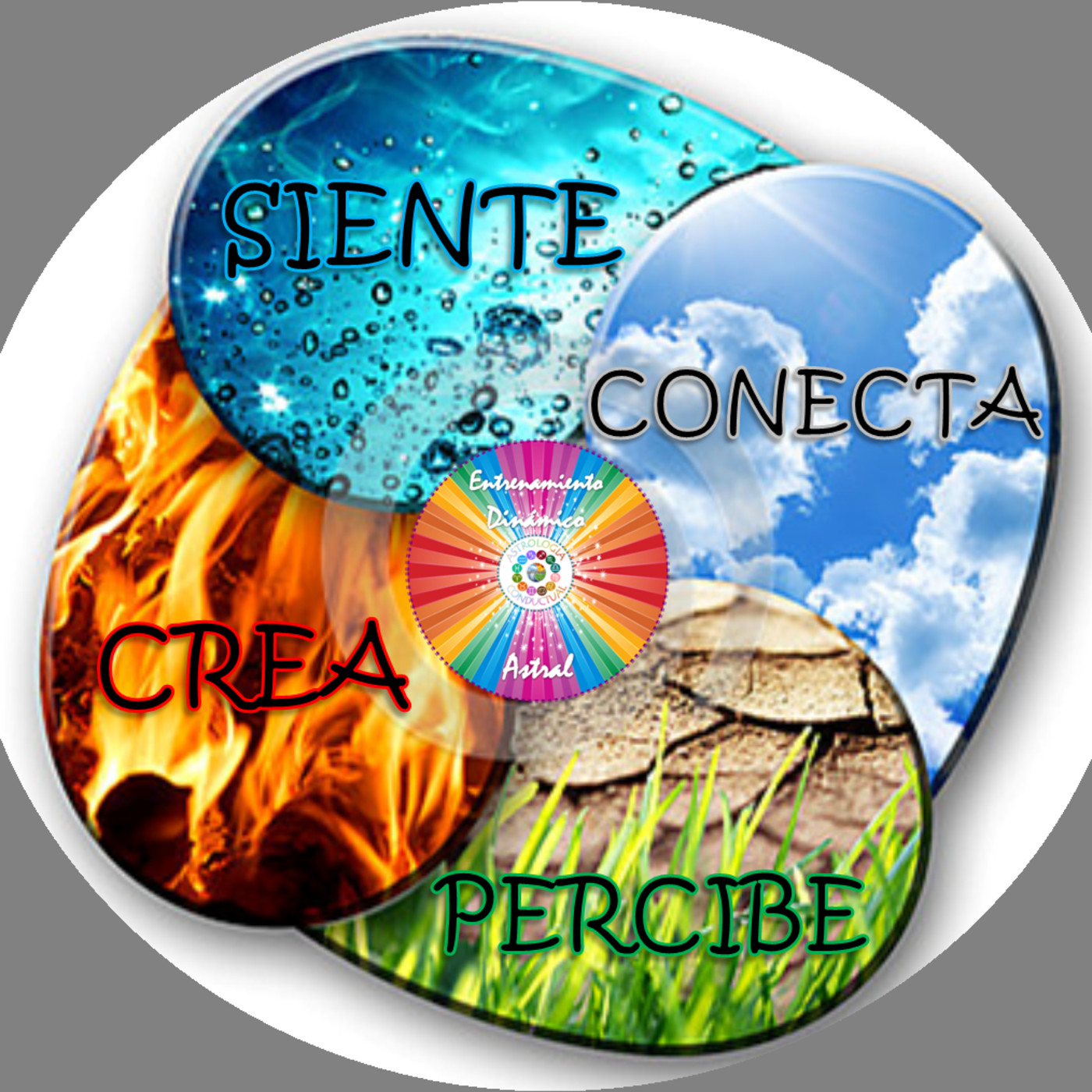 4 ELEMENTOS ASTROLOGÍA CONDUCTUAL