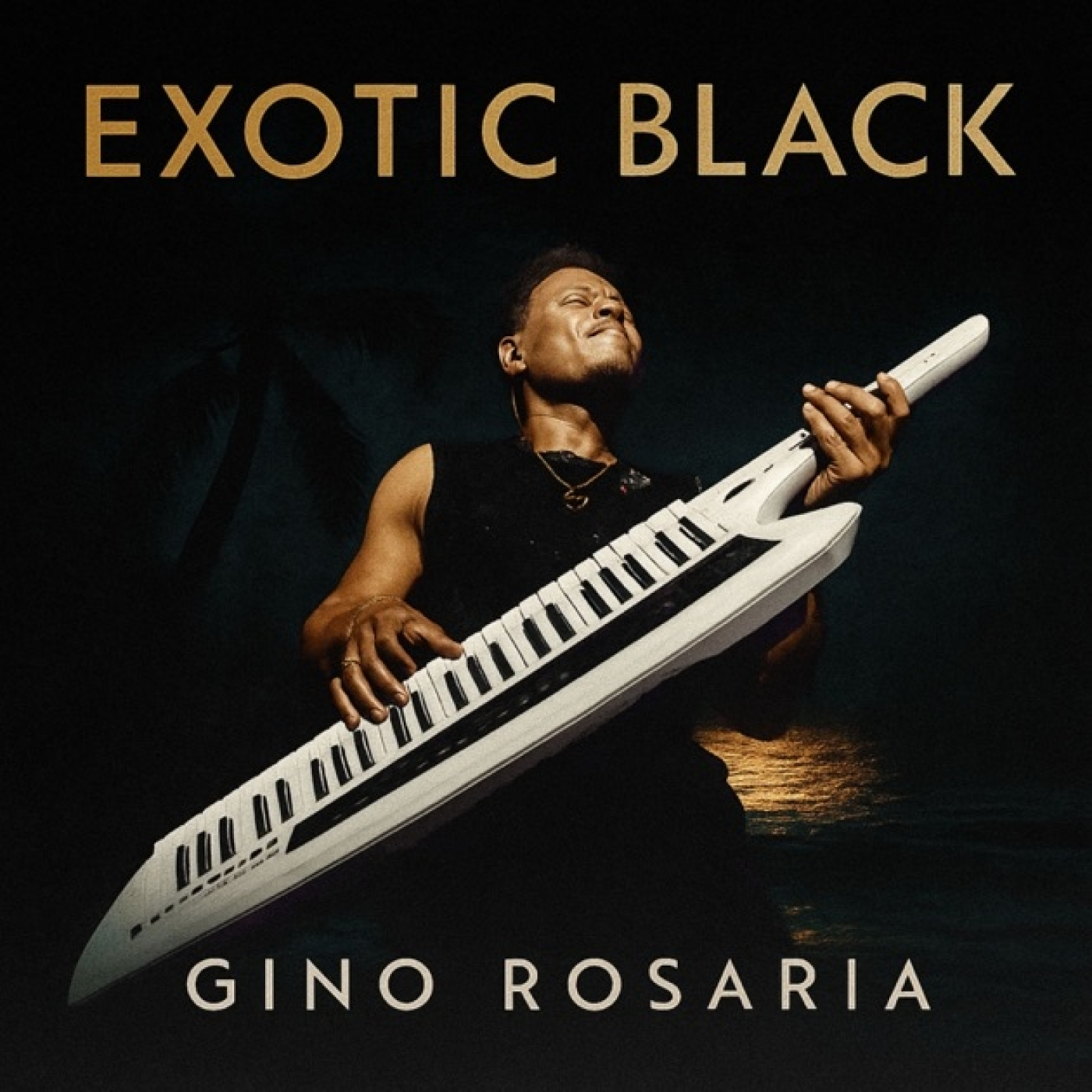 Cloud Jazz 2893 | Gino Rosaria