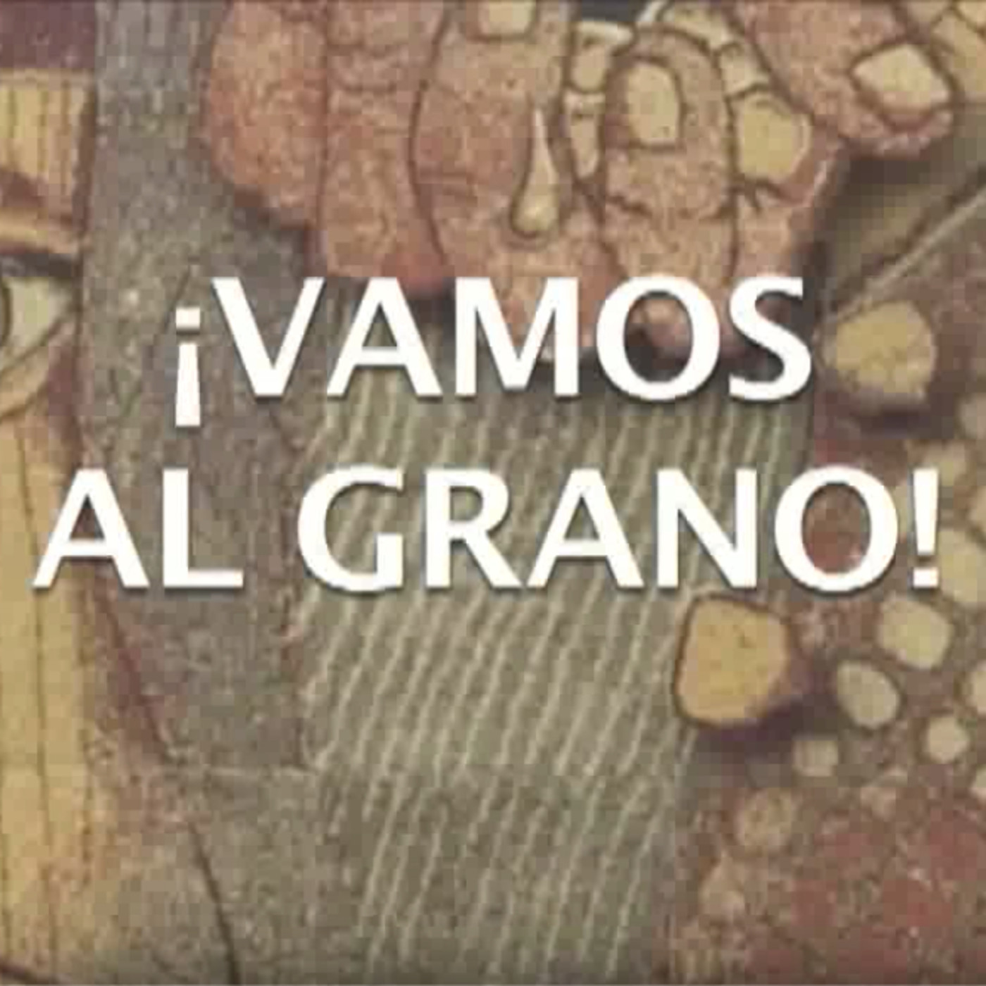 Vamos al grano. Cuidado con el maíz transgénico.