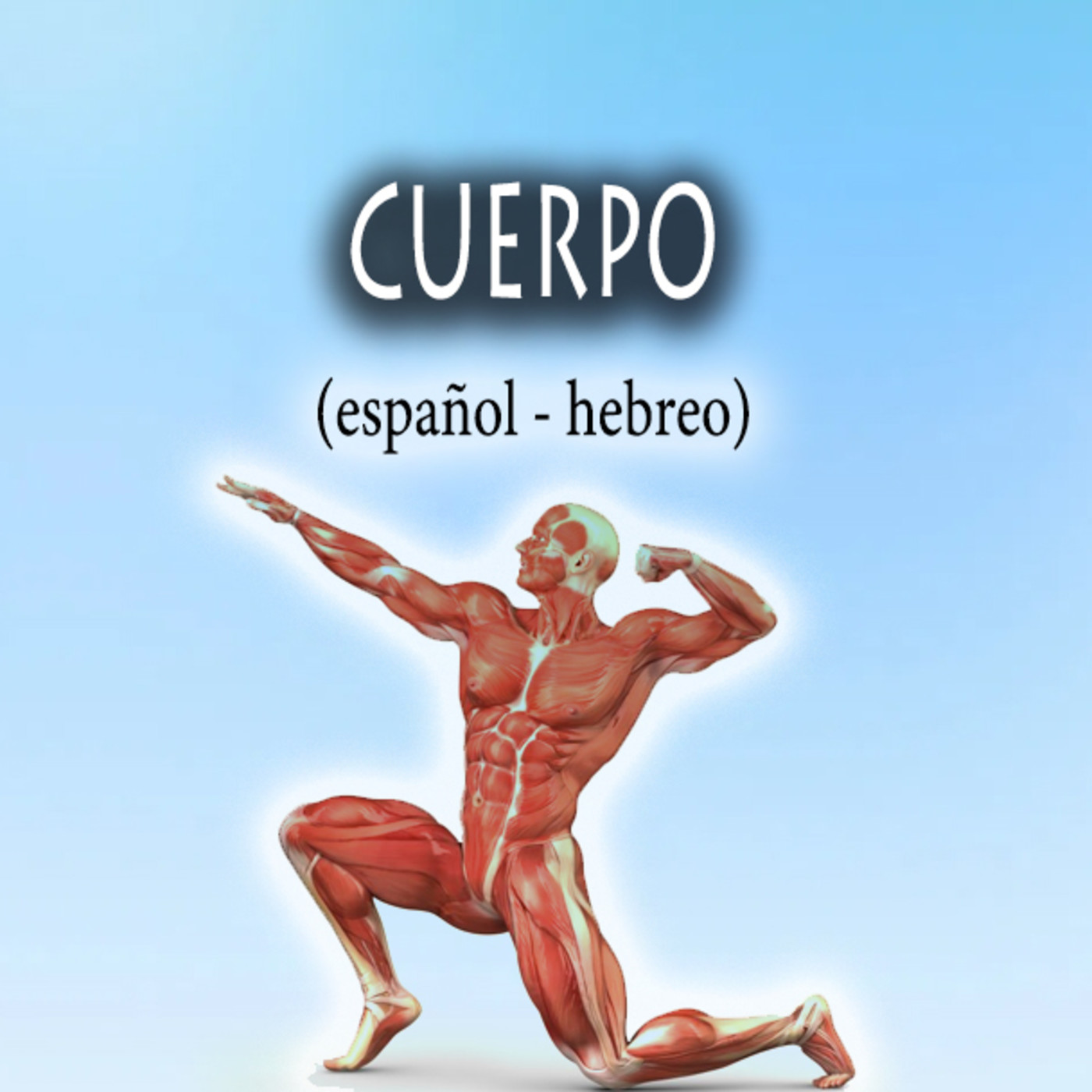 Vocabulario para aprender hebreo