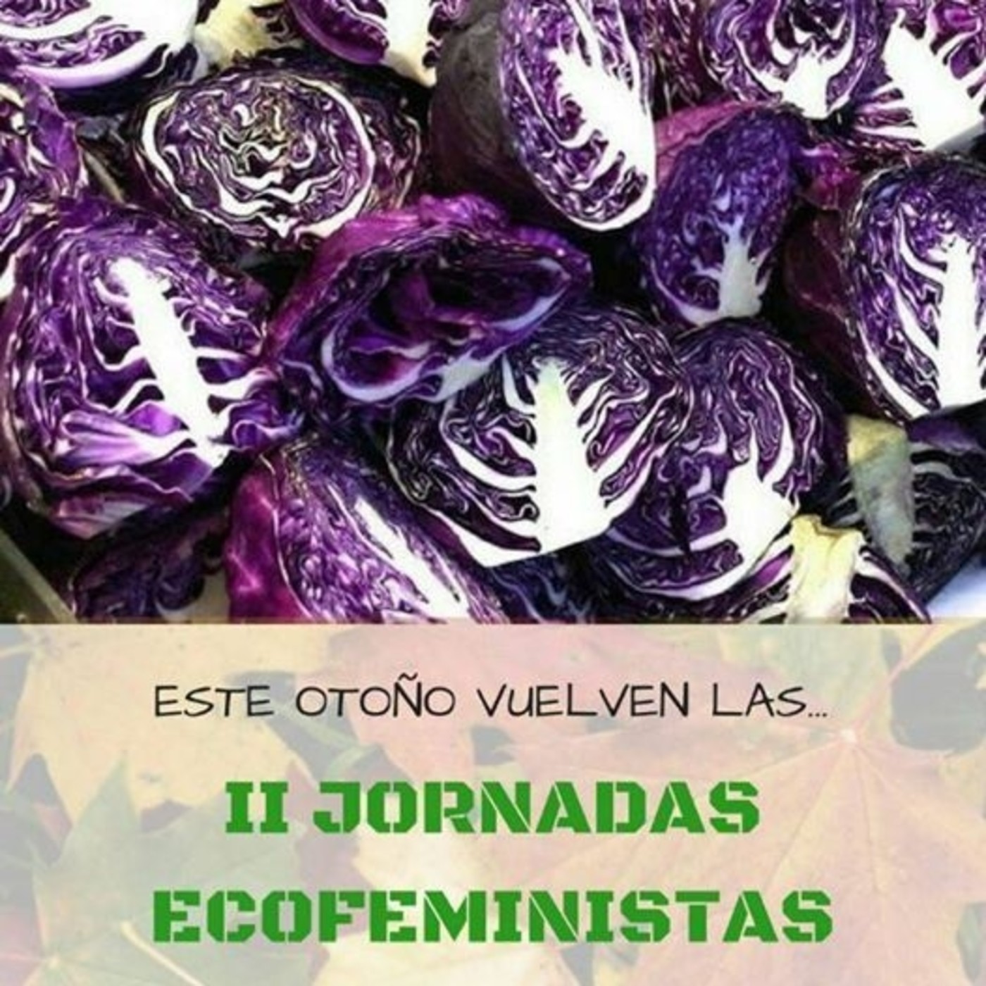 Diario Activista