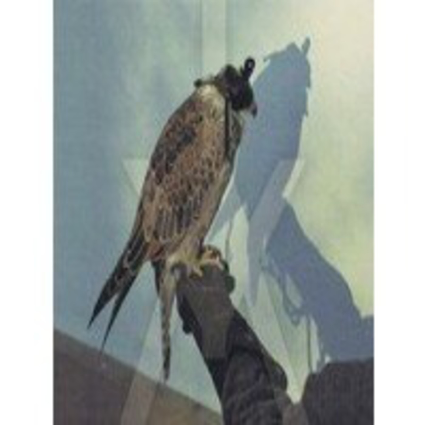 El Telescopio 260, con Iceage, Pissed Jeans, The Men, Phosphorescent, Primal Scream... episode artwork