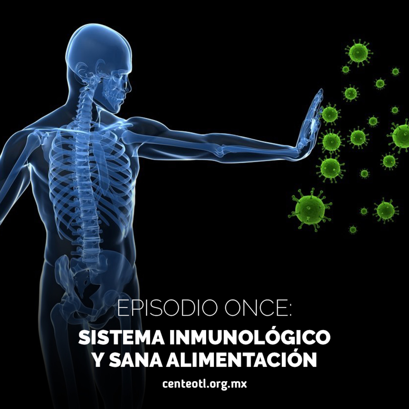 La Colmena