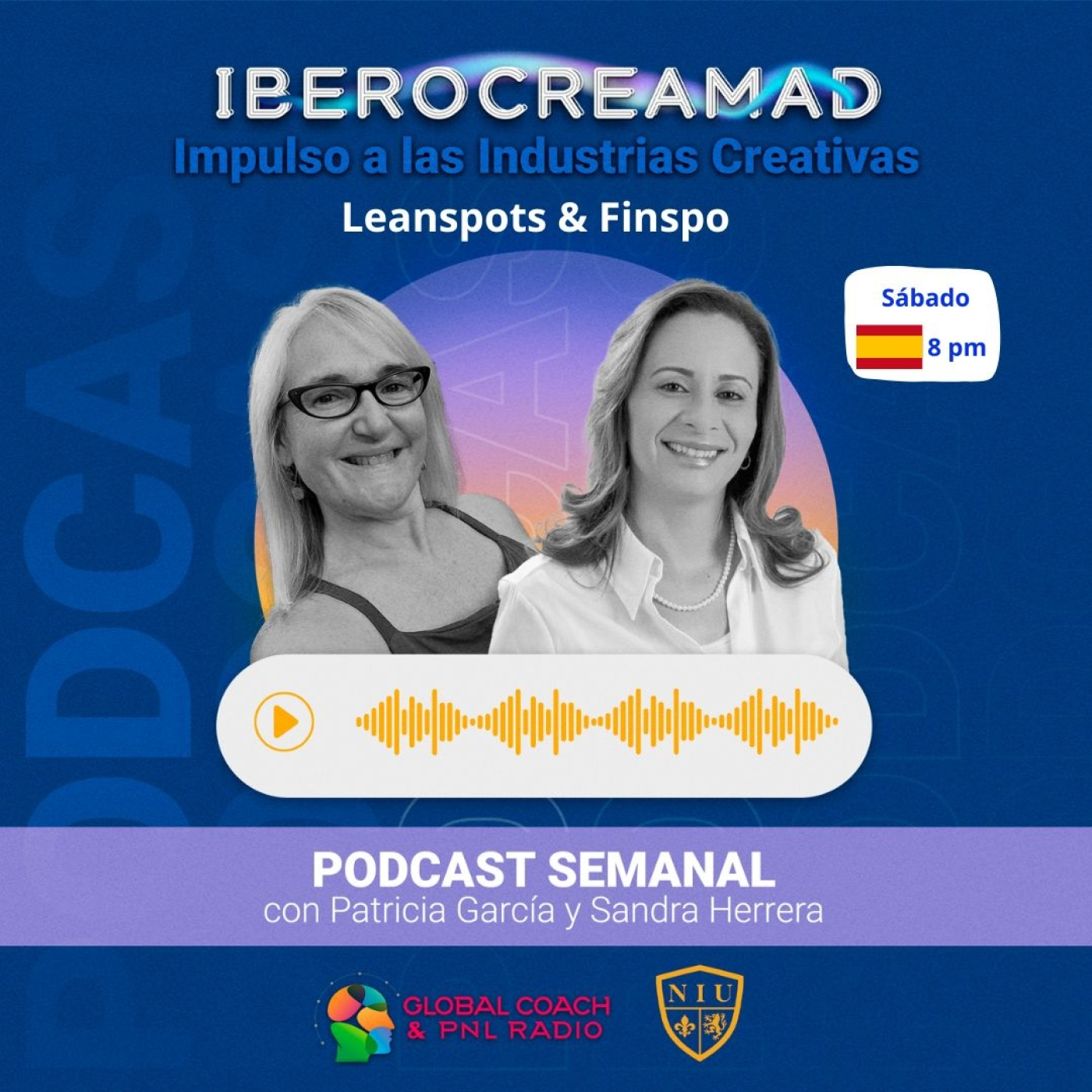 Radio Global Coach & Pnl