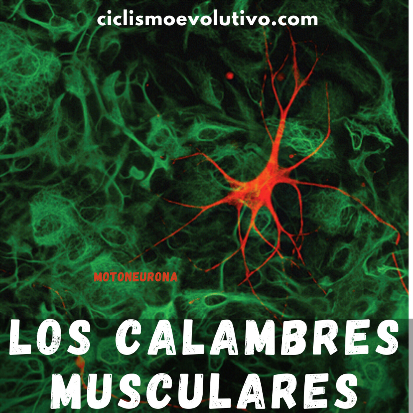 119. Los calambres musculares: causas y cómo evitarlos.