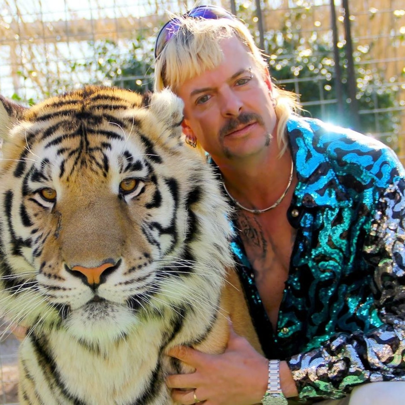 LZF 328: El Morbo del Rey Tigre episode artwork
