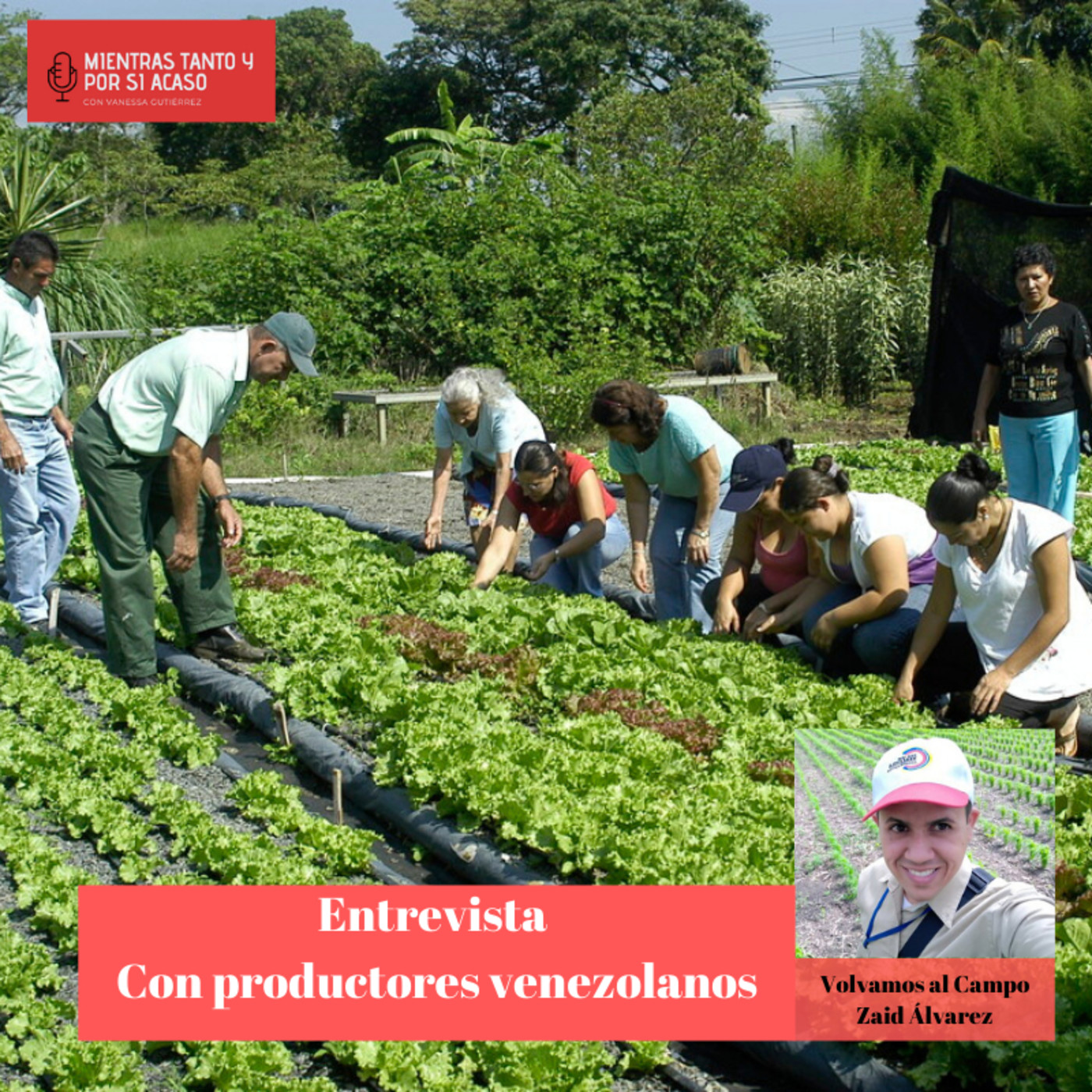 Columna Volvamos al Campo