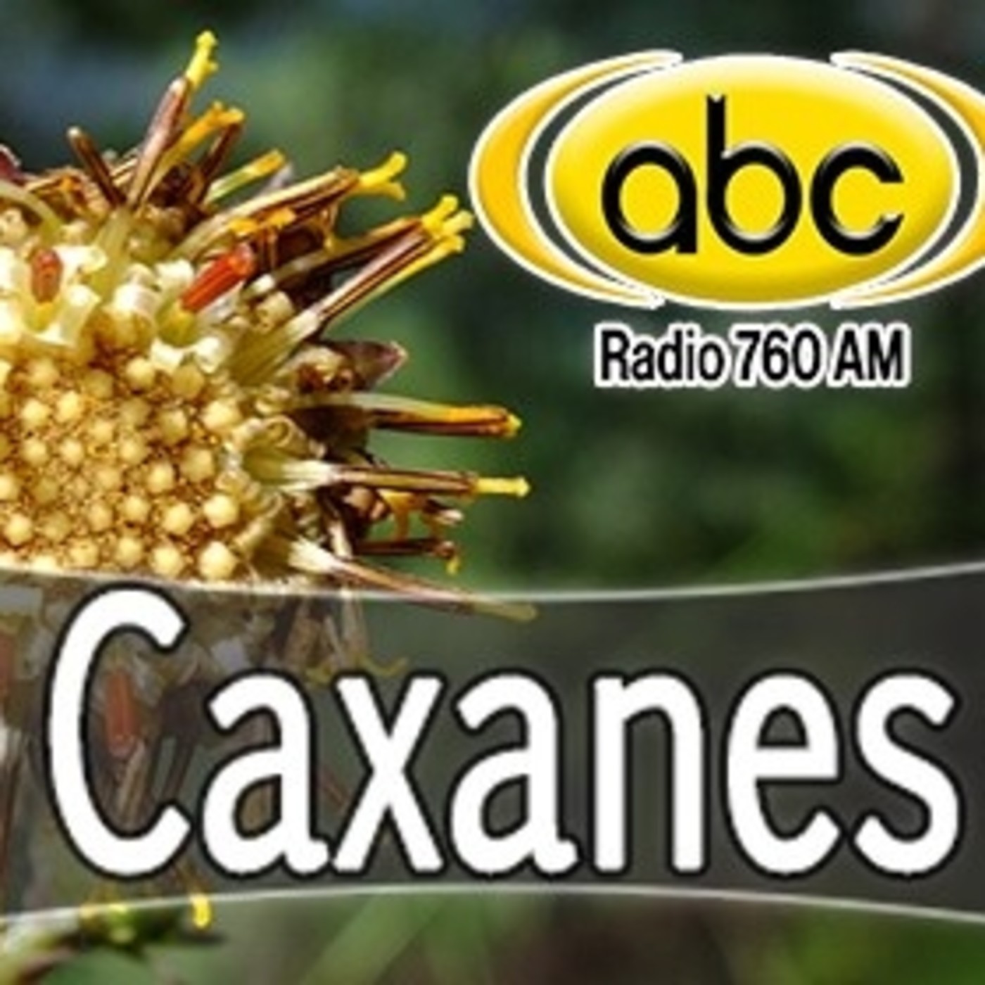 El Ángel de tu Salud - CAXANES II