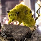 Post Apocalipsis Nau #15 Datacenters, coltán y esclavos: la otra cara de internet