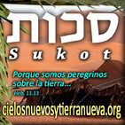 002 No eres peregrino si no eres extranjero