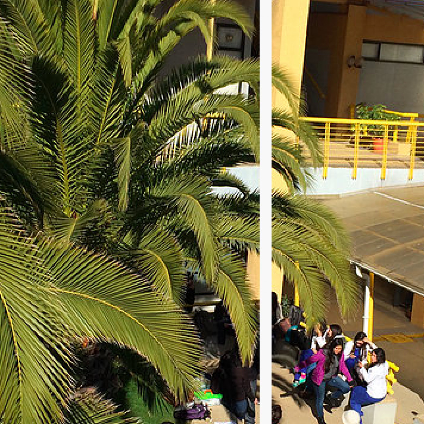 Ciencias Básicas I 2016