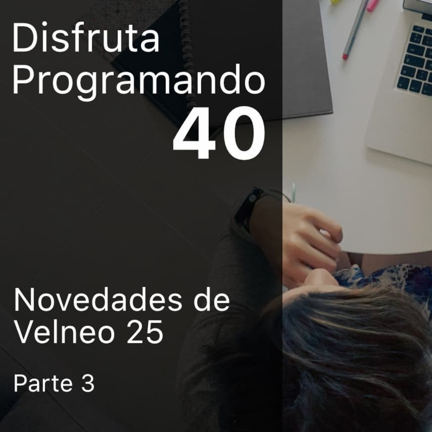 Disfruta Programando