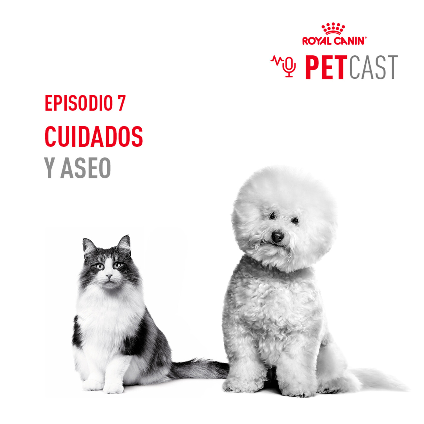 ROYAL CANIN PETCASTS ESPAÑA