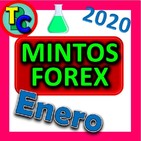 Prólogo COMUNICADO ENVESTIO + MINTOS FOREX ENERO 2020 - Invertir en pesos, rublos... con la Mejor Plataforma P2P