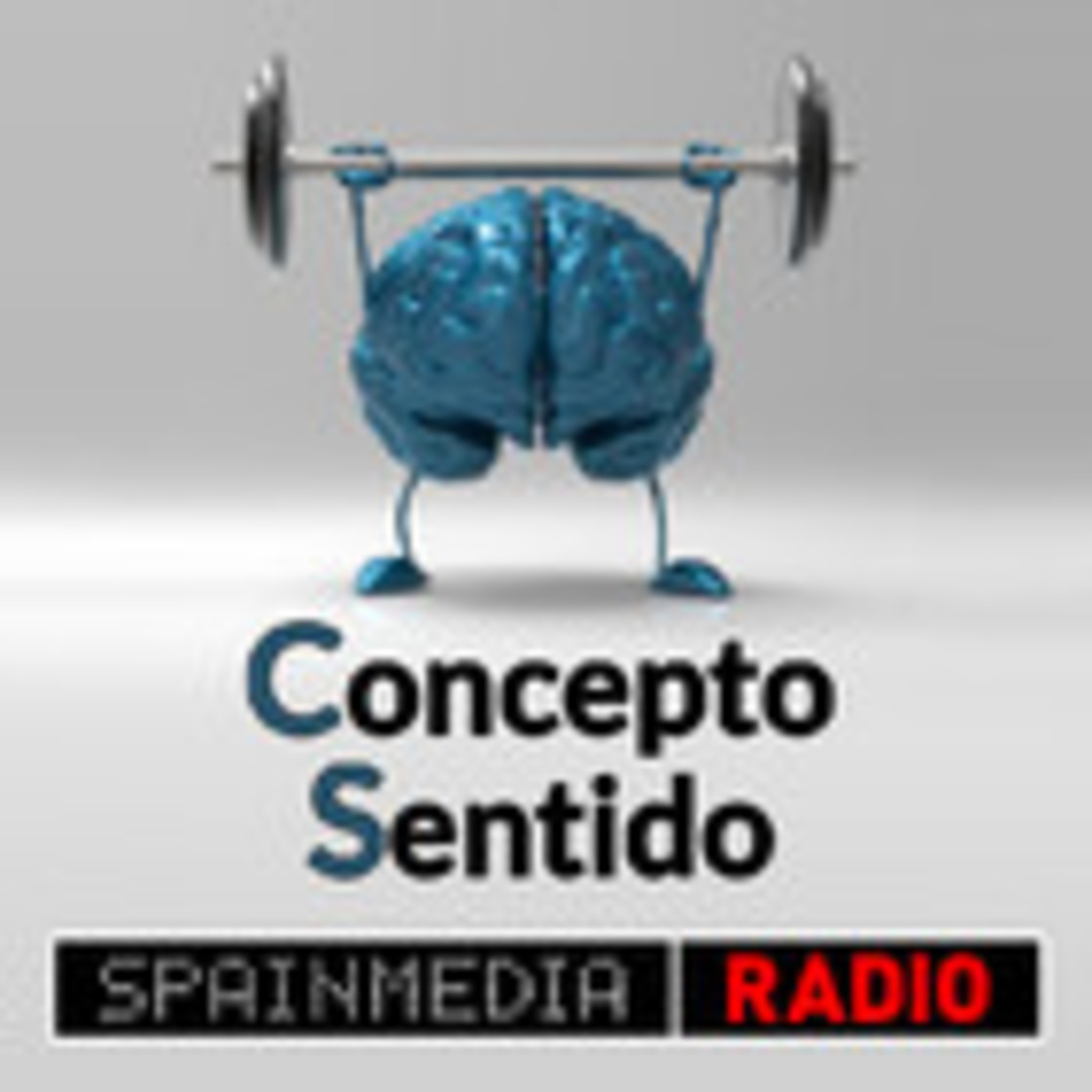 Concepto Sentido