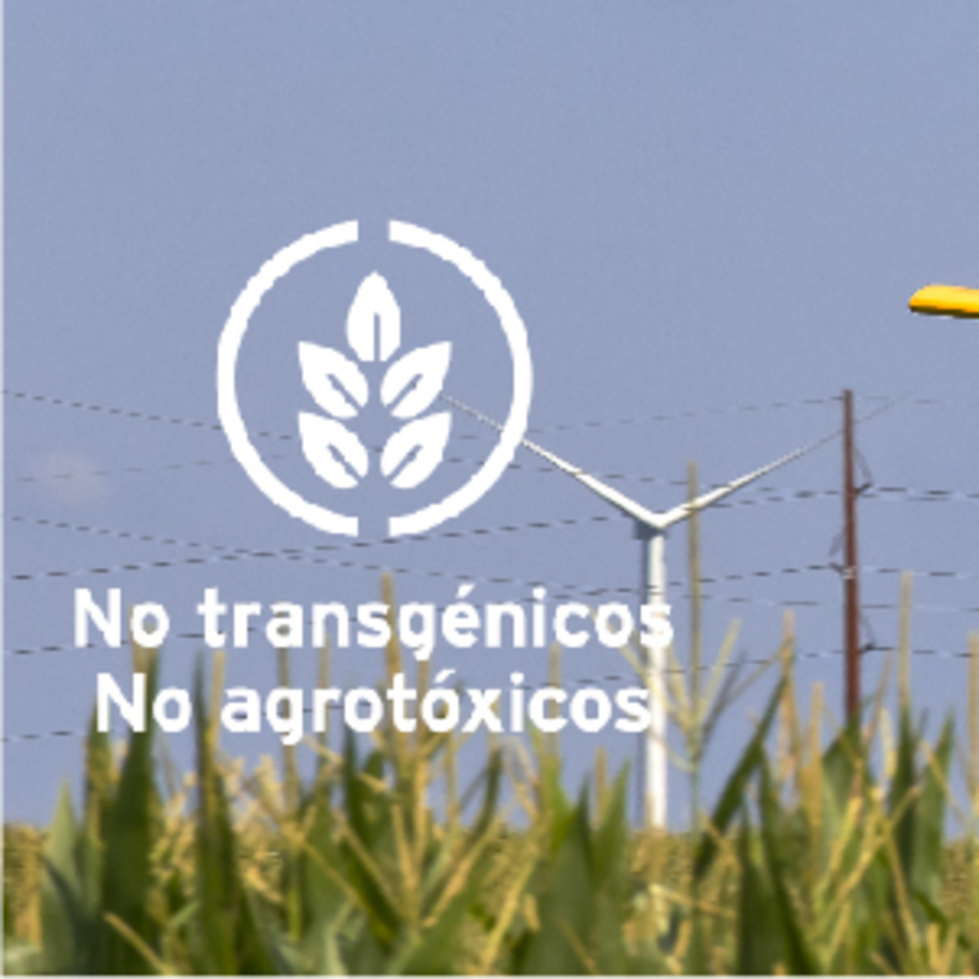 La Voz de la Tierra