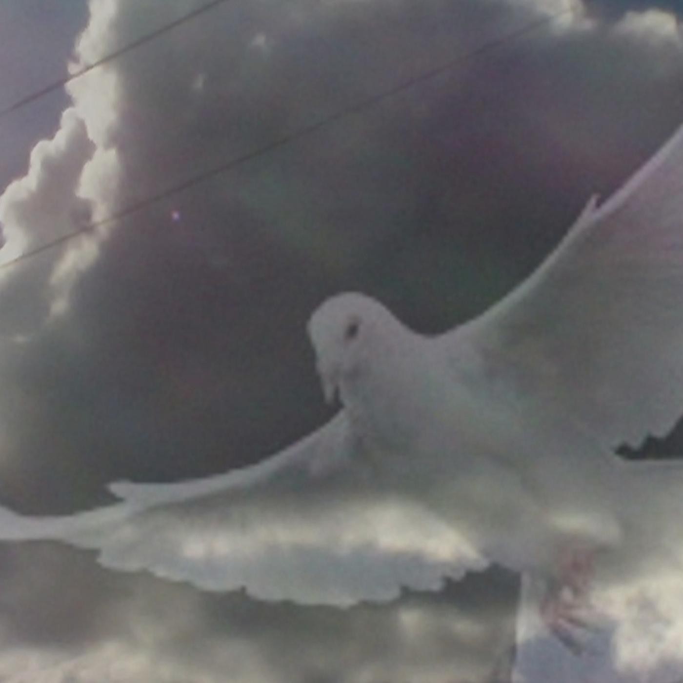 VCP Sol Narraciones Vivencias Leyendas