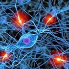 la Celula y la actividad Neuronal