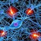 la Celula y la actividad Neuronal