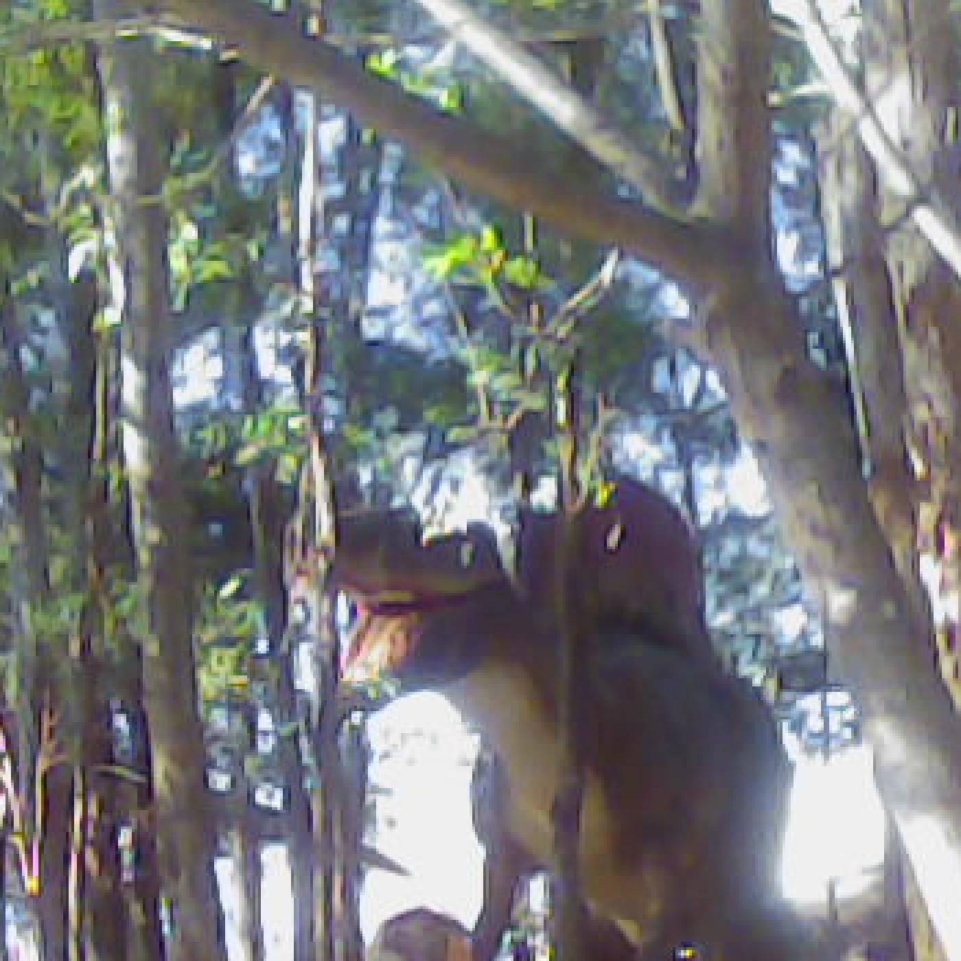 Inter-Cambios por la 94.9 La Minga Radio