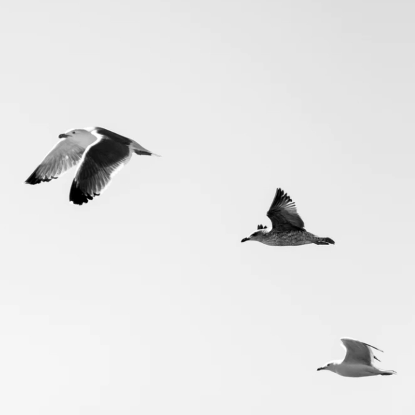 Meditación express DetoxMind- La Nada.