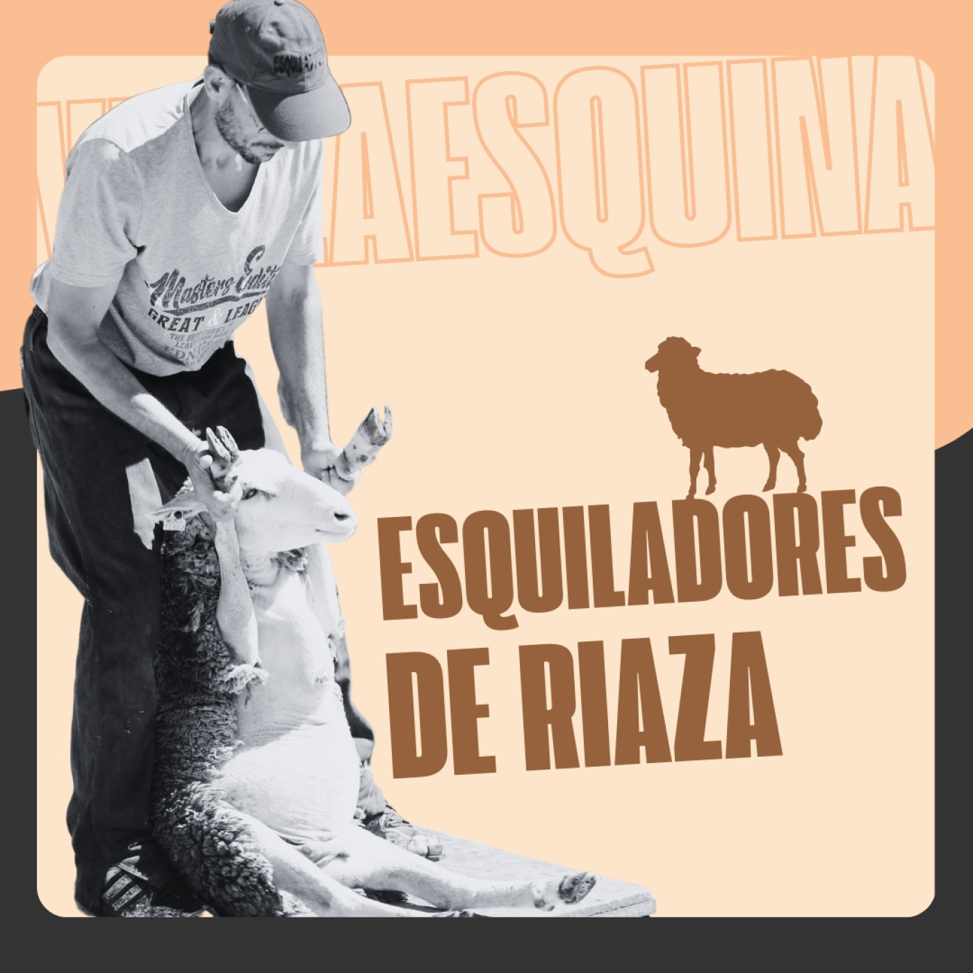A la vuelta de la esquina (13/09/24) · El campo y sus bichos episode artwork