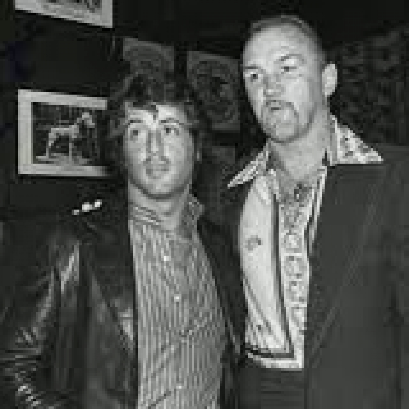 Stallone de mi vida