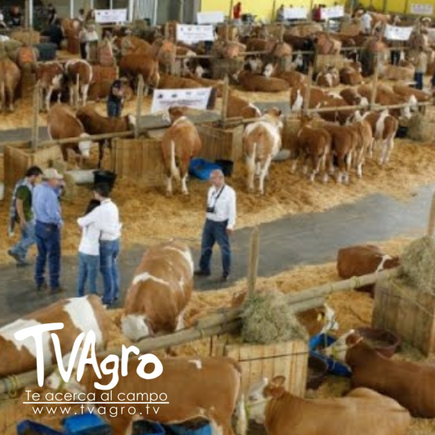 TV AGRO