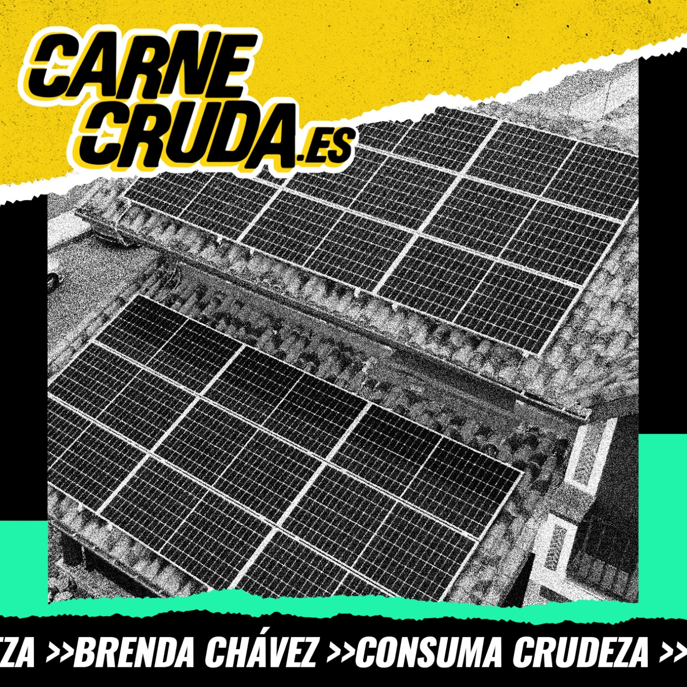 CarneCruda.es SECCIONES