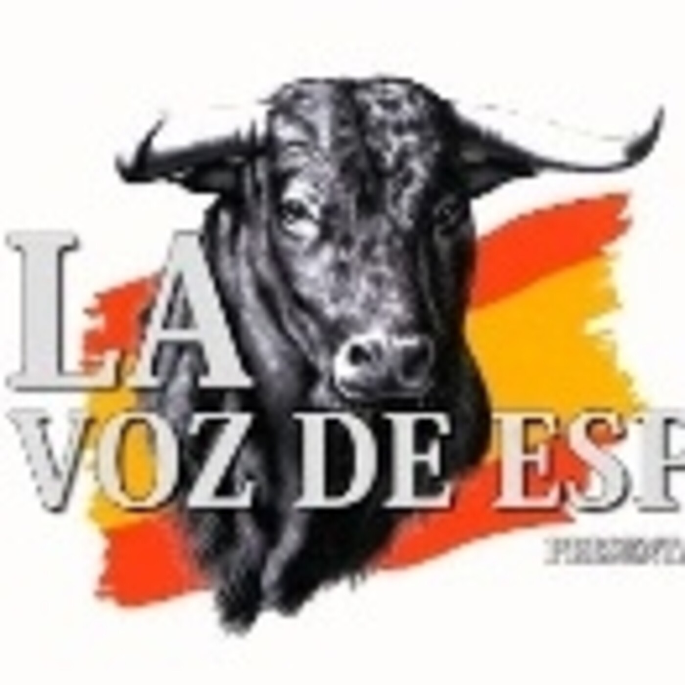 LA VOZ DE ESPAÑA Ed:100