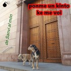 Ponme un kinto ke me voi - SANVI EDITION (Programa pilot)