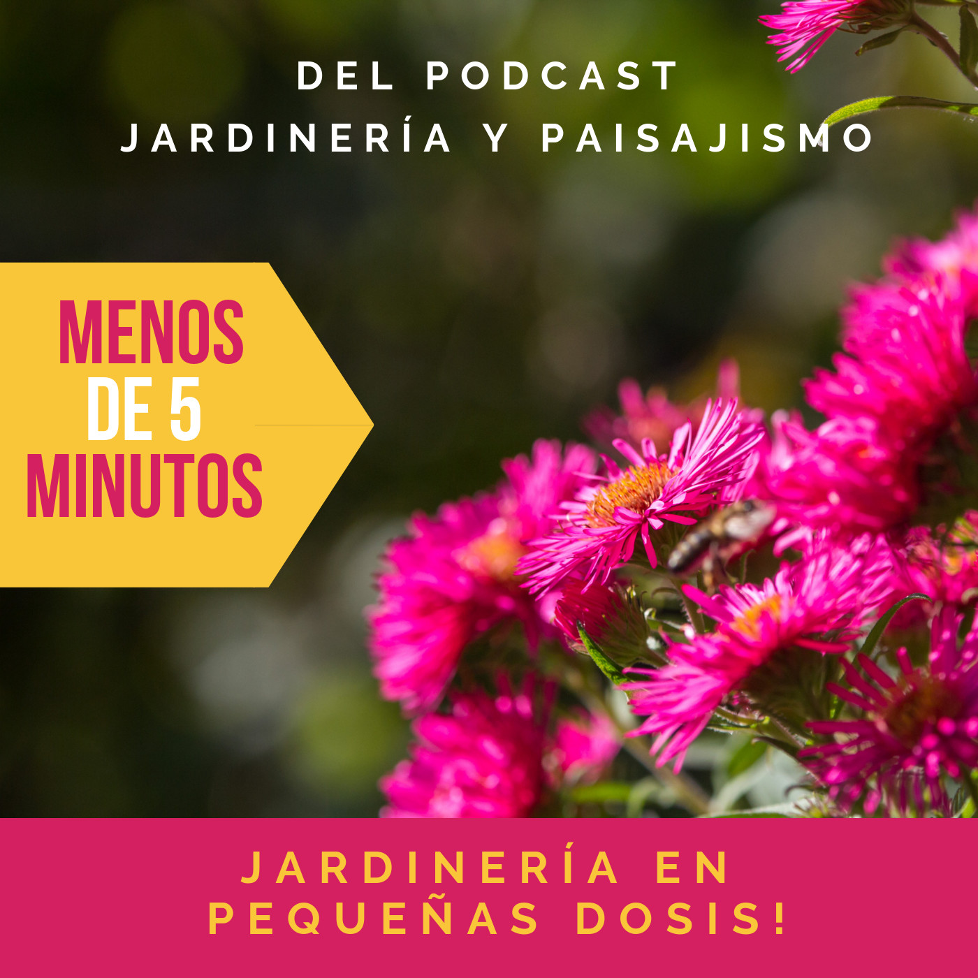 #15 - Fertilización del césped (Segunda entrega) episode artwork