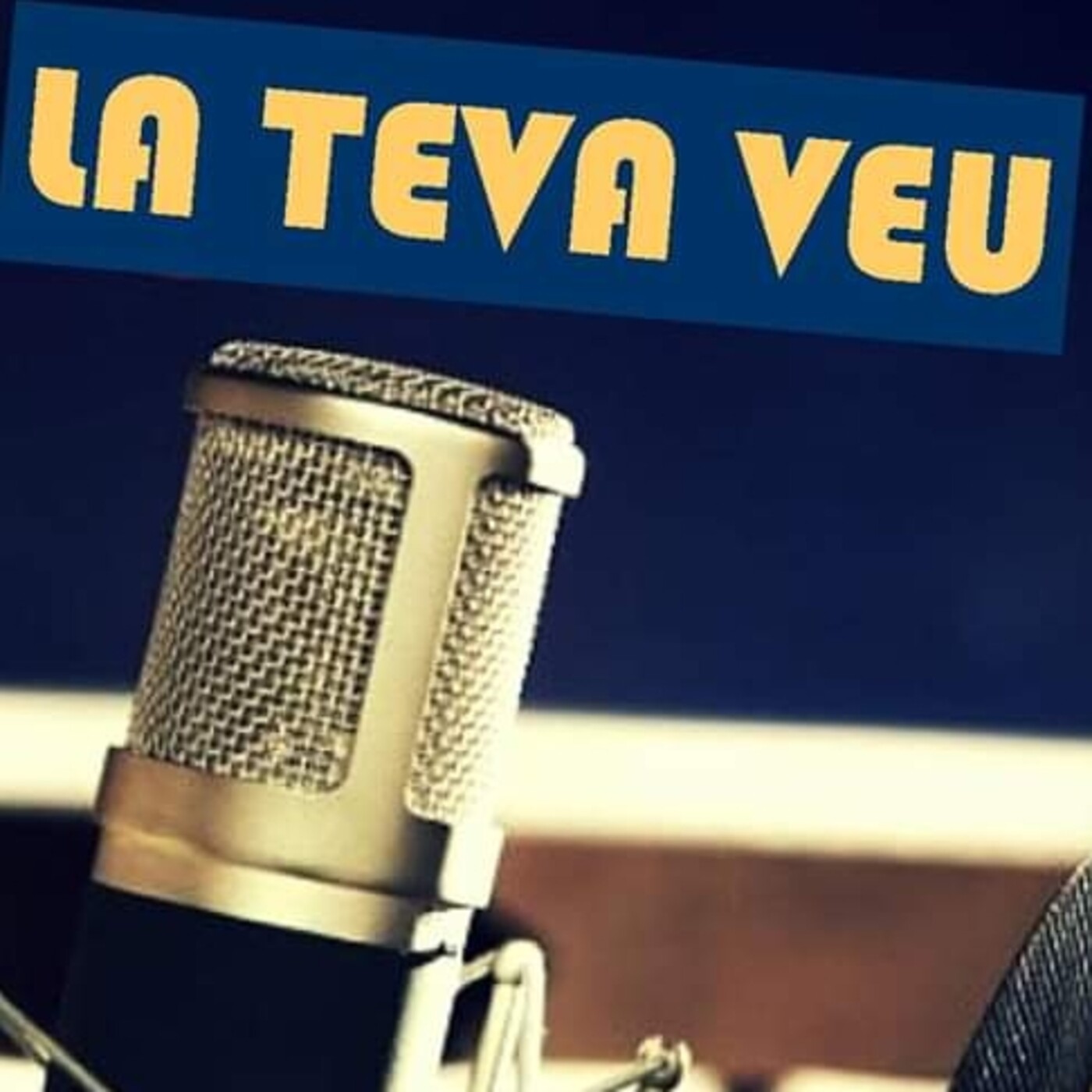 La teva veu