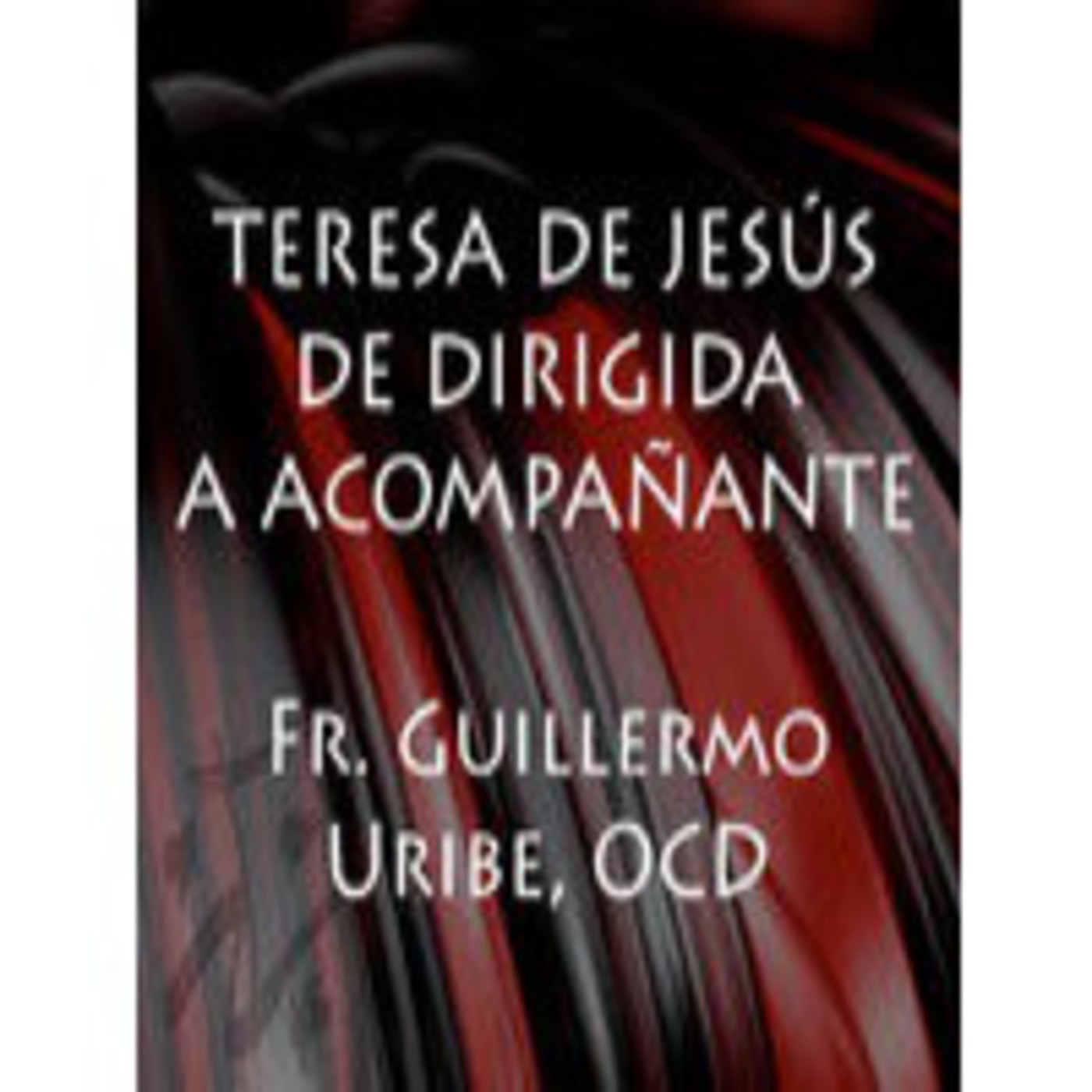 0201 Teresa de Jesus. De dirigida a acompanante