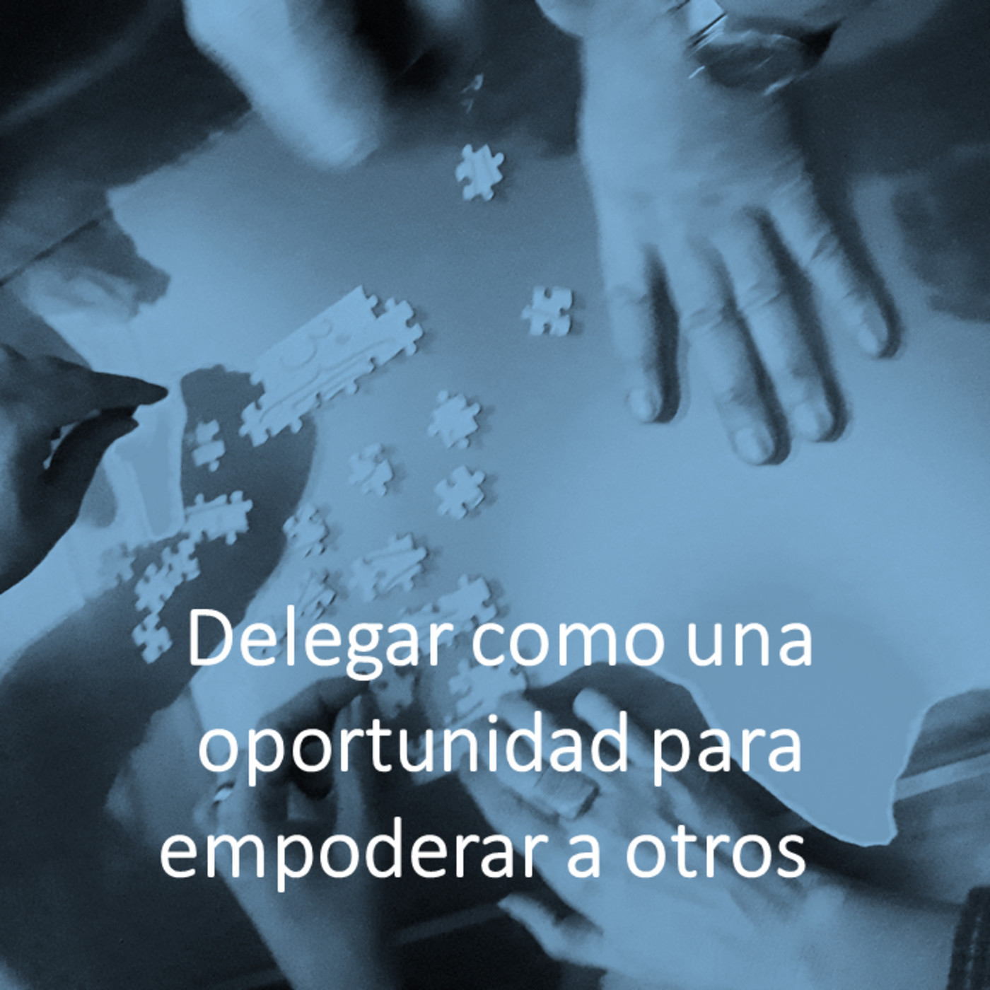Acción y Reinvención