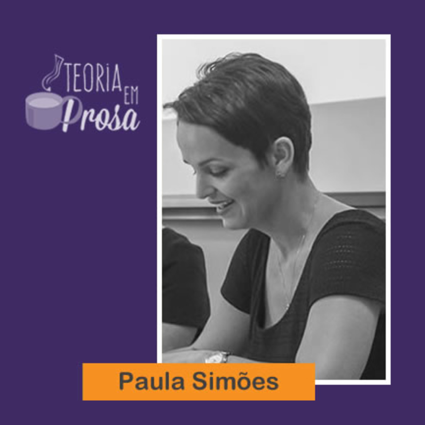 Teoria em Prosa: Saberes em Comunicação
