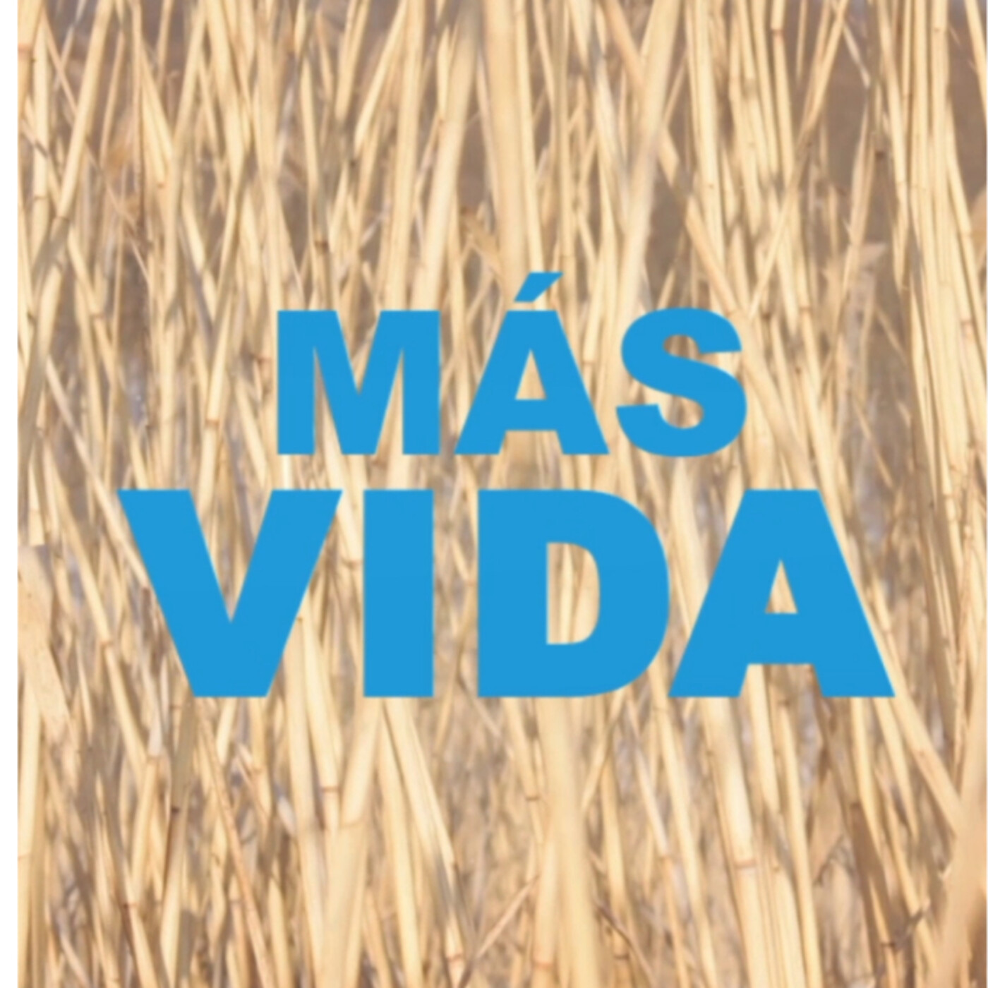 MÁS VIDA