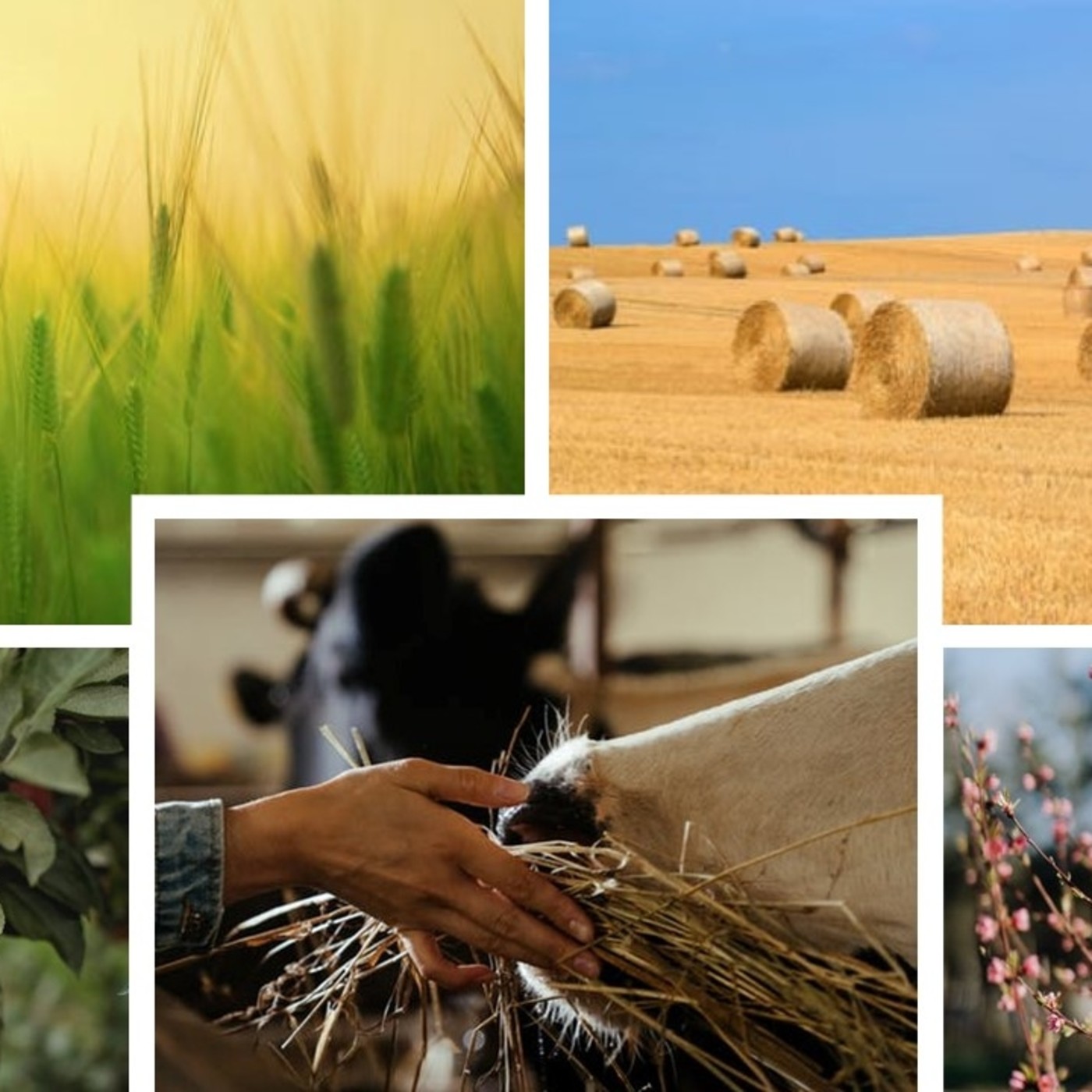 Podcast cadenaserteruel