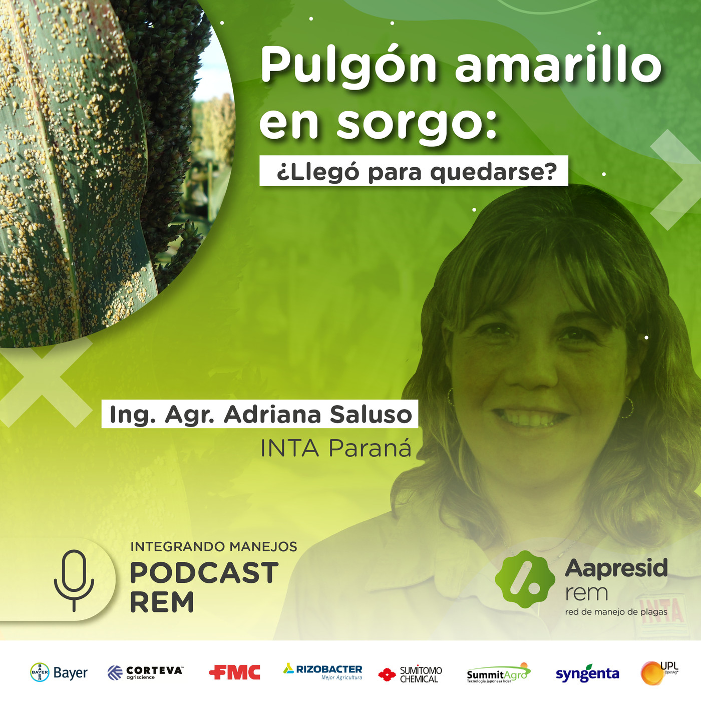 Integrando Manejos