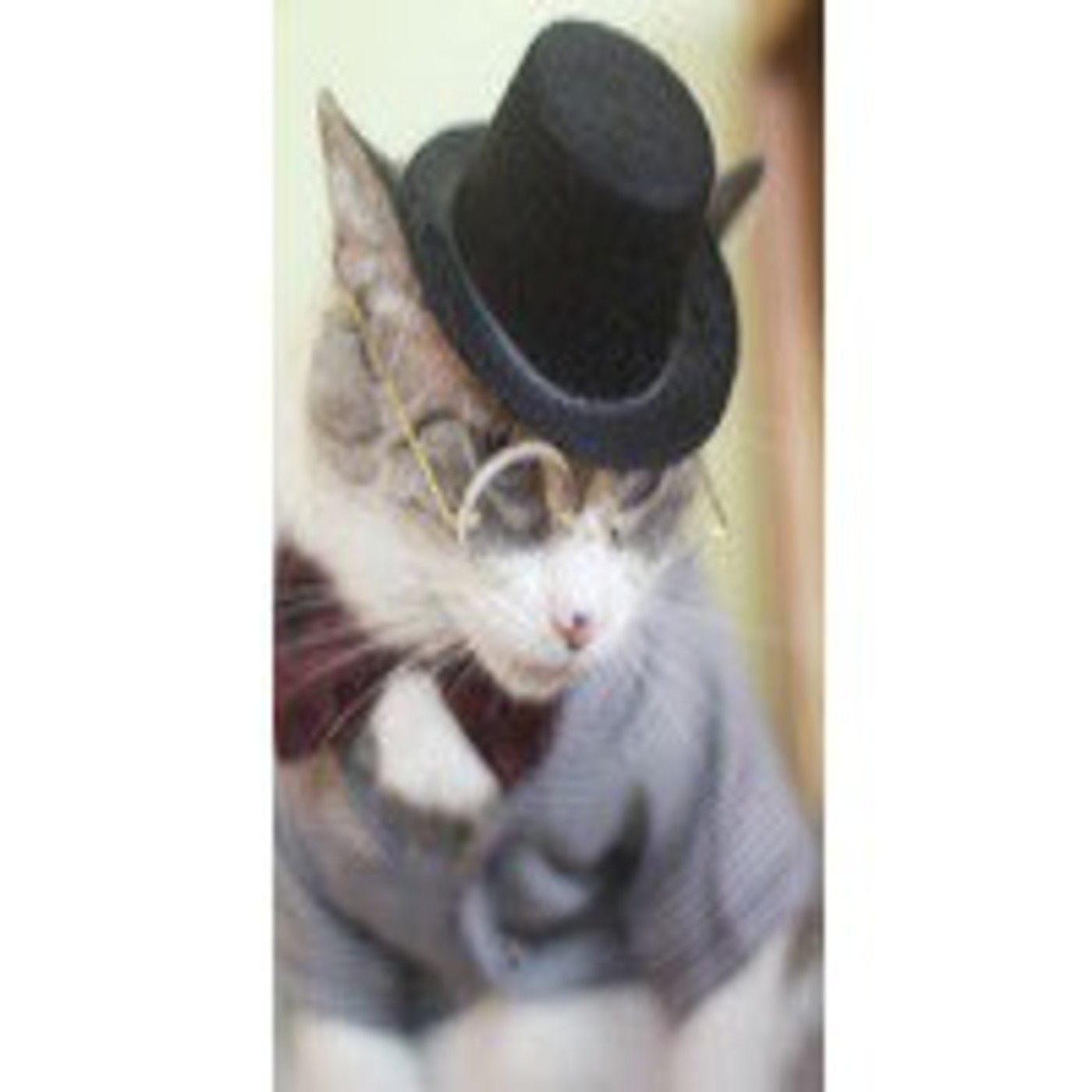 Podcast JORGE BRIGNOLE