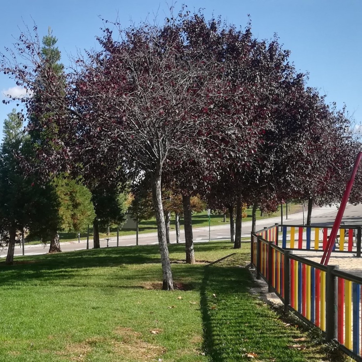 JuegArte